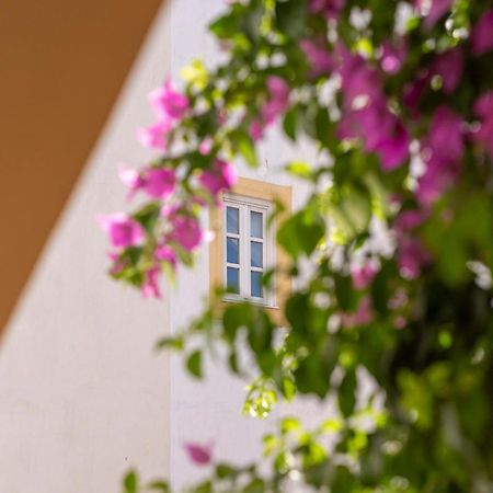 Casa Morgado Esporao Bed & Breakfast เอโวรา ภายนอก รูปภาพ