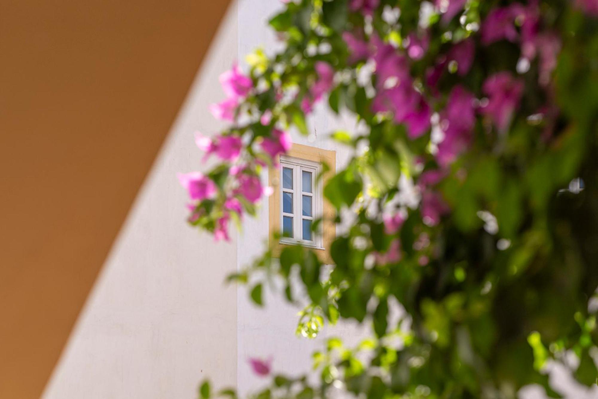 Casa Morgado Esporao Bed & Breakfast เอโวรา ภายนอก รูปภาพ
